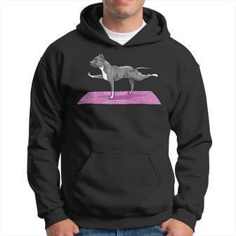 Pitbull Doing Yoga Funny Pitbull Dog Lover Yogi Teacher Men Hoodie Graphic Print Hooded Sweatshirt - Seseable