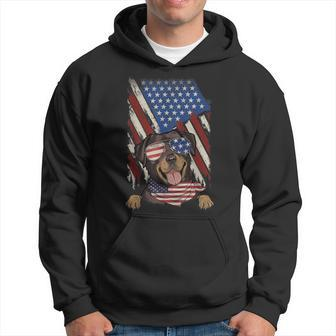 Retro American Flag Rottweiler Dad Mom Dog Lover 4Th Of July Men Hoodie Graphic Print Hooded Sweatshirt - Seseable