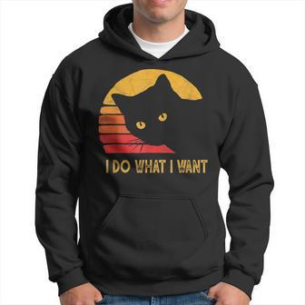 Retro I Do What I Want With My Cat Funny Gift Hoodie | Mazezy