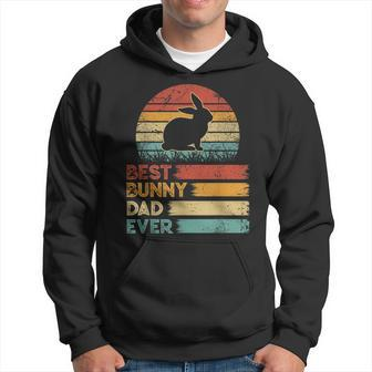 Retro Vintage Best Bunny Dad Ever Animals Lover Hoodie - Seseable