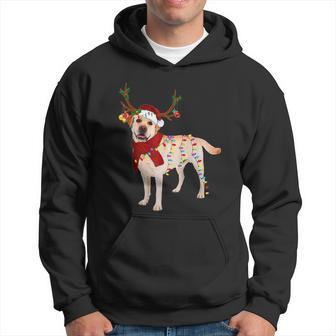 Santa Labrador Retriever Reindeer Light Christmas Tshirt Hoodie - Monsterry AU