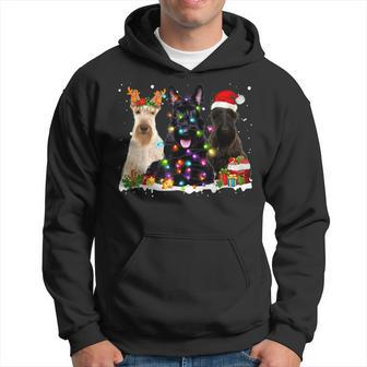 Santa Scottish Terrier Gorgeous Reindeer Christmas Pajama Men Hoodie Graphic Print Hooded Sweatshirt - Seseable