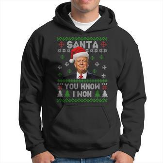 Santa Trump You Know I Won 2024 Merry Christmas Men Women Men Hoodie Graphic Print Hooded Sweatshirt - Seseable