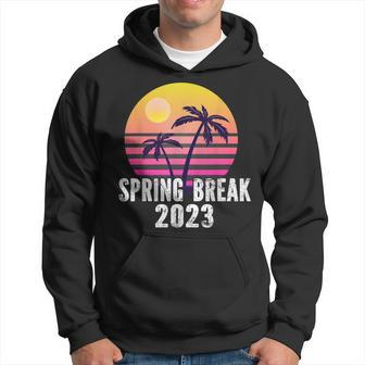 Spring Break 2023 Family Spring Break Sunset 2023 Hoodie | Mazezy