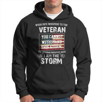 US Veteran I Am The Storm American Flag Hoodie - Seseable