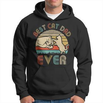 Vintage Best Cat Dad Ever Bump Fit Funny Dat Hoodie - Seseable