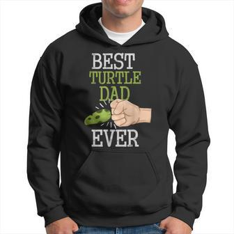 Vintage Best Turtle Dad Ever Fathers Day Animal Lovers Gift Gift For Mens Hoodie | Mazezy