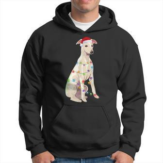 Whippet Christmas Lights Xmas Dog Lover Santa Hat Men Hoodie Graphic Print Hooded Sweatshirt - Seseable