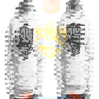 Av 8B Harrier Ii Air Force Hoodie | Mazezy