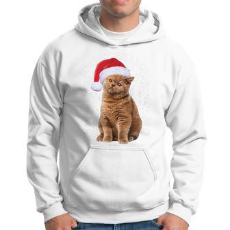 Christmas Kitty Men Hoodie Graphic Print Hooded Sweatshirt - Seseable