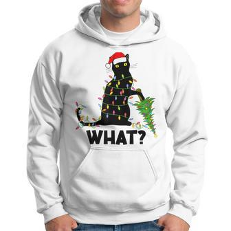 Funny Black Cat Pushing Christmas Tree Over Cat Christmas Men Hoodie Graphic Print Hooded Sweatshirt - Seseable