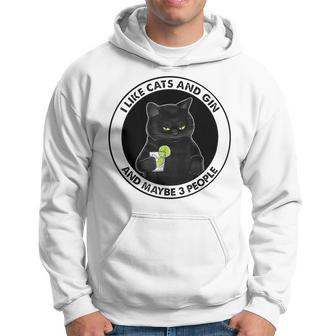 I Like Cats And Gin And Maybe 3 People Hoodie - Seseable