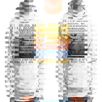 Vintage I Like Dogs And Hummingbirds Maybe 3 People Gift Hoodie | Seseable UK