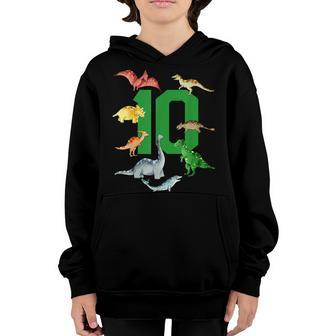 10 Year Old 10Th Birthday Boy T Rex Dinosaur Youth Hoodie - Thegiftio UK