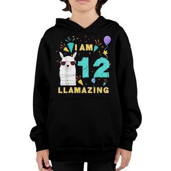 12 Years Old 12Th Birthday Llama Birthday Girl Gift V12 Youth Hoodie - Thegiftio UK