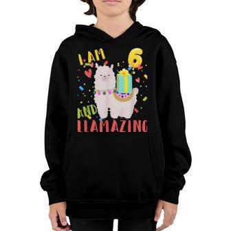 6 Years Old 6Th Birthday Llama Birthday Girl Gift V9 Youth Hoodie - Thegiftio UK