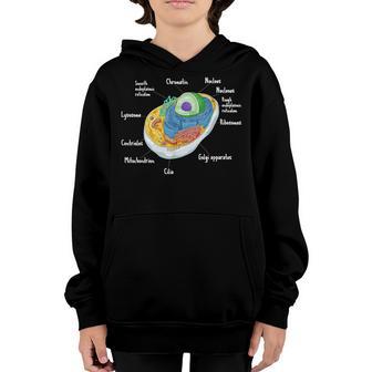Anatomy Of Cell Biology Biologist Science Student Graduation Youth Hoodie - Thegiftio UK