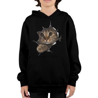 Cat Cat Gifts Funny Cat For Women & Men & Kids Youth Hoodie - Thegiftio UK
