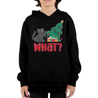 Cat What Funny Cat Lover Christmas Men Boys Kids Youth Hoodie - Thegiftio UK