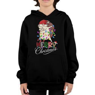 Dabbing Hedgehog Friends Christmas Boys Girls Men Xmas Dab Youth Hoodie - Thegiftio UK