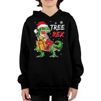 Dinosaur Santa For Boys Girls Christmas Tree Lights V2 Youth Hoodie - Thegiftio UK
