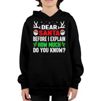 Funny Christmas Kids Adults Dear Santa I Can Explain V2 Youth Hoodie - Thegiftio UK