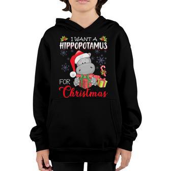 Funny I Want A Hippopotamus For Christmas Xmas Hippo For Kid V2 Youth Hoodie - Thegiftio UK
