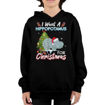 Funny I Want A Hippopotamus For Christmas Xmas Hippo For Kid V4 Youth Hoodie - Thegiftio UK