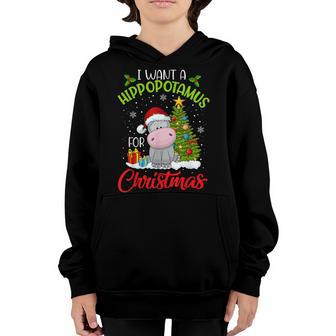 Funny I Want A Hippopotamus For Christmas Xmas Hippo For Kid Youth Hoodie - Thegiftio UK