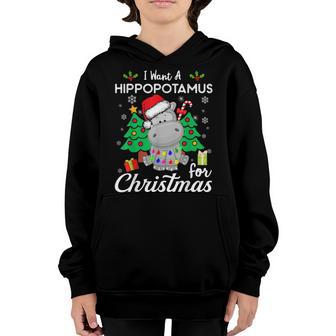 Funny I Want A Hippopotamus For Christmas Xmas Kid Women Men Youth Hoodie - Thegiftio UK