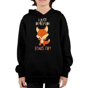 I Just Really Like Foxes Ok Kids Birthday Christmas Gift Youth Hoodie - Seseable