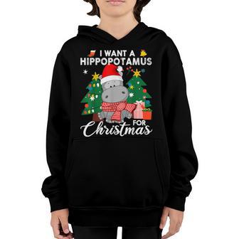 I Want A Hippopotamus For Christmas Cute Hippo Kids Boy Girl V2 Youth Hoodie - Thegiftio UK