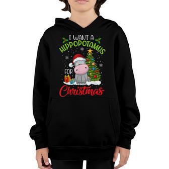 I Want A Hippopotamus For Christmas Kid Xmas Hippo Christmas Youth Hoodie - Thegiftio UK