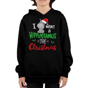 I Want A Hippopotamus For Christmas Xmas Cute Hippo Cute Kid Youth Hoodie - Thegiftio UK