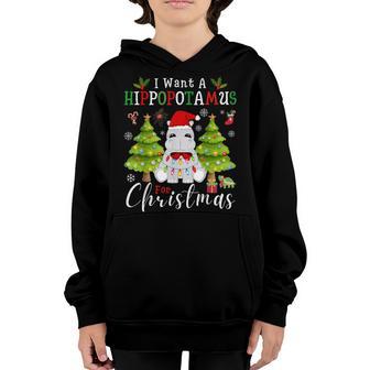 I Want A Hippopotamus For Christmas Xmas Hippo For Kid Party Youth Hoodie - Thegiftio UK