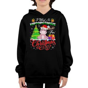 I Want A Hippopotamus For Christmas Xmas Hippo For Kid V7 Youth Hoodie - Thegiftio UK