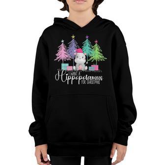 I Want A Hippopotamus For Christmas Xmas Hippo For Kid V8 Youth Hoodie - Thegiftio UK