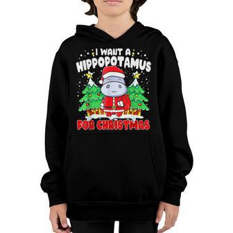 I Want A Hippopotamus For Christmas Xmas Hippo For Kid V9 Youth Hoodie - Thegiftio UK