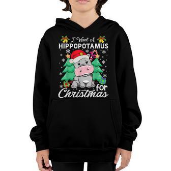 I Want A Hippopotamus For Christmas Xmas Hippo For Kid Women V12 Youth Hoodie - Thegiftio UK