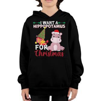 I Want A Hippopotamus For Christmas Xmas Hippo For Kid Women V19 Youth Hoodie - Thegiftio UK
