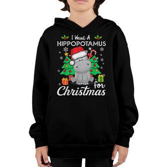 I Want A Hippopotamus For Christmas Xmas Hippo For Kid Women V25 Youth Hoodie - Thegiftio UK