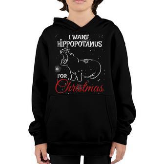 I Want A Hippopotamus For Christmas Xmas Hippo For Kid Women V27 Youth Hoodie - Thegiftio UK