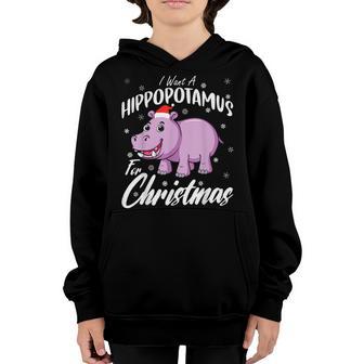 I Want A Hippopotamus For Christmas Xmas Hippo For Kid Women V29 Youth Hoodie - Thegiftio UK