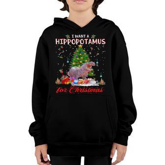 I Want A Hippopotamus For Christmas Xmas Hippo For Kid Women V32 Youth Hoodie - Thegiftio UK