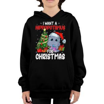 I Want A Hippopotamus For Christmas Xmas Hippo For Kid Women V37 Youth Hoodie - Thegiftio UK