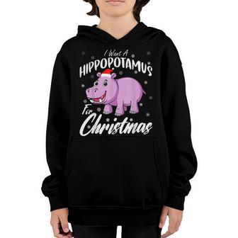 I Want A Hippopotamus For Christmas Xmas Hippo For Kid Women V41 Youth Hoodie - Thegiftio UK