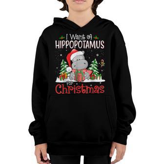 I Want A Hippopotamus For Christmas Xmas Hippo For Kid Women V42 Youth Hoodie - Thegiftio UK