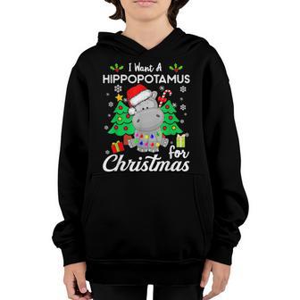 I Want A Hippopotamus For Christmas Xmas Hippo For Kid Women V45 Youth Hoodie - Thegiftio UK