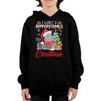 I Want A Hippopotamus For Christmas Xmas Hippo For Kid Women V49 Youth Hoodie - Thegiftio UK
