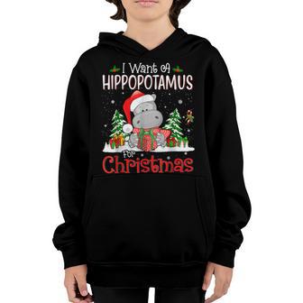I Want A Hippopotamus For Christmas Xmas Hippo For Kid Women V51 Youth Hoodie - Thegiftio UK